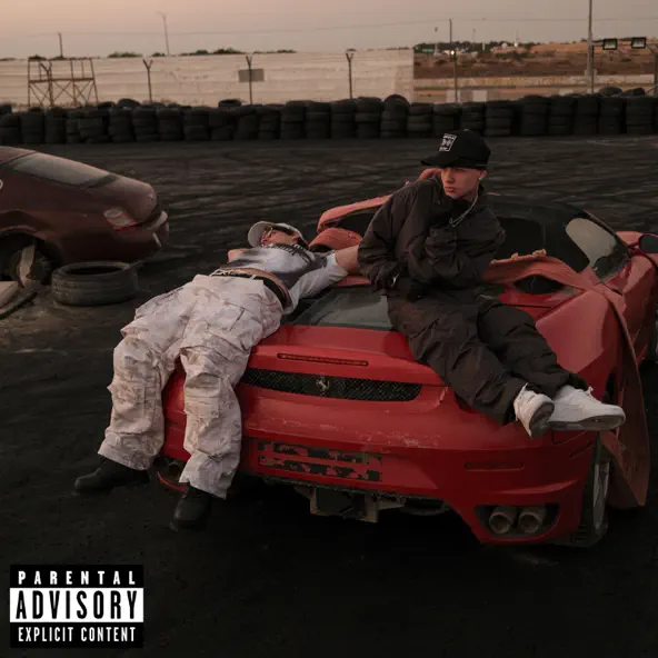 Обложка к песне Slim Shady (feat. Aarne) от Bushido Zho