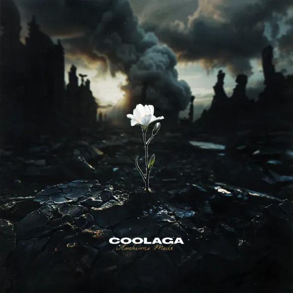 Обложка к песне Любить Тебя от Coolaga