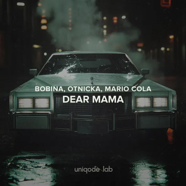 Обложка к песне Dear Mama (feat. Otnicka & Mario Cola) от Bobina