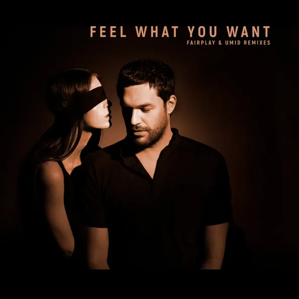 Обложка к песне Feel What You Want (Fairplay Remix) от Phonique & Rebecca