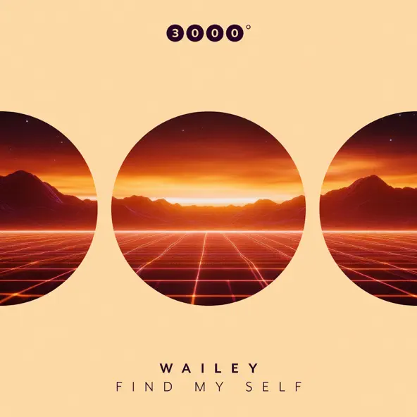 Обложка к песне Find My Self (Original Mix) от Wailey