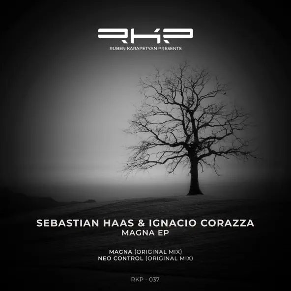 Обложка к песне Magna 101 (Original Mix) от Sebastian Haas & Ignacio Corazza