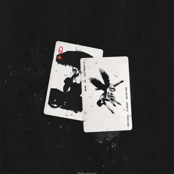 Обложка к песне Stop The Rain (Tablo X RM) от Tablo & RM