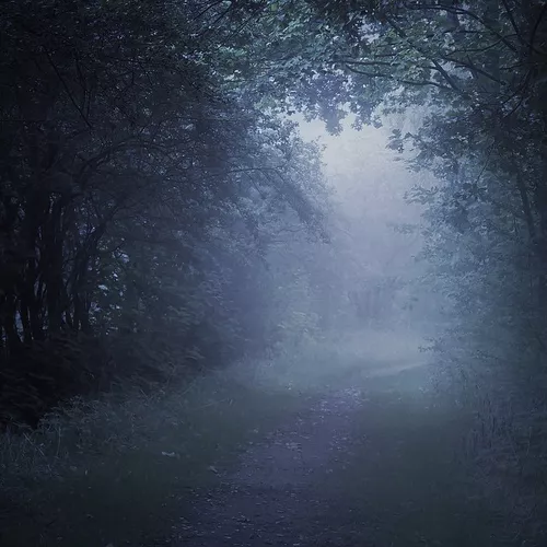 Обложка к песне Тёмная Ночь от Misty