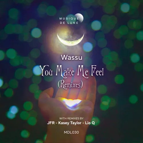 Обложка к песне You Make Me Feel (Lio Q Remix) от Wassu