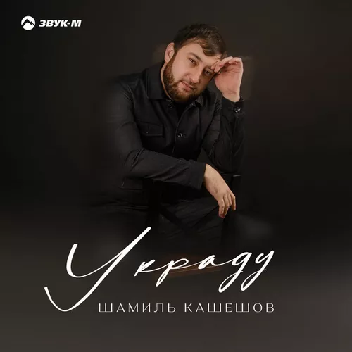 Обложка к песне Украду от Шамиль Кашешов