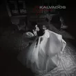 Обложка к песне Вдвоём от Kalvados