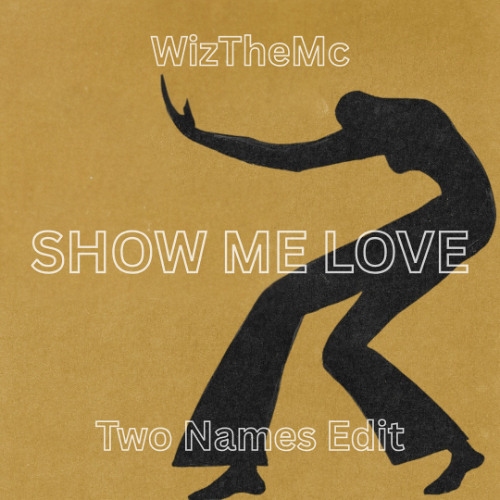 Обложка к песне Show Me Love (Two Names Edit) от WizTheMc