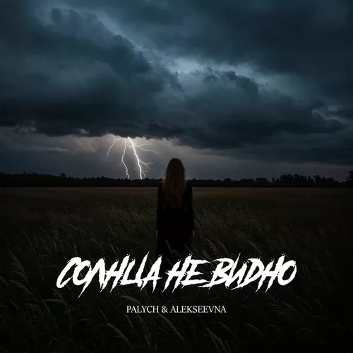 Обложка к песне Солнца Не Видно (feat. Alekseevna) от Palych