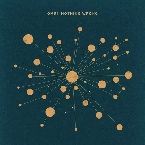 Обложка к песне Nothing Wrong (Ayybo Remix) от Omri.