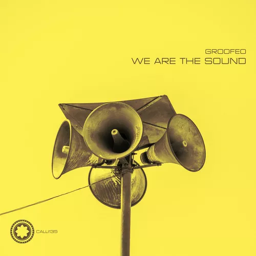 Обложка к песне We Are The Sound (Windom R Remix) от Groofeo