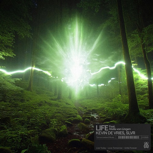 Обложка к песне Life (Original Mix) от Kevin De Vries & Slvr feat. Stella Von Lingen