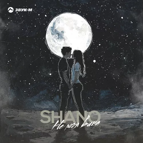 Обложка к песне Не Моя Вина от Shano