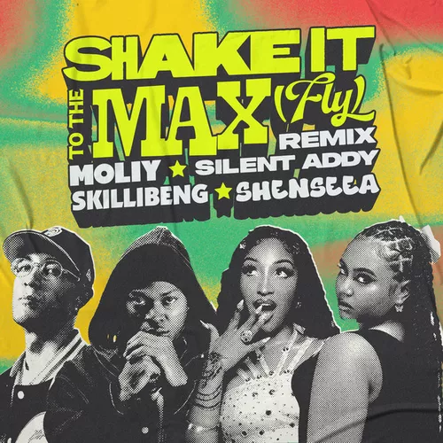 Обложка к песне Shake It To The Max [Fly] (Remix) от Moliy & Silent Addy feat. Skillibeng & Shenseea