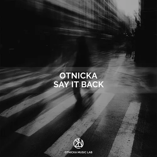 Обложка к песне Say It Back от Otnicka