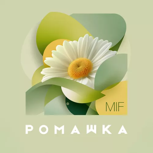 Обложка к песне Ромашка от Mif
