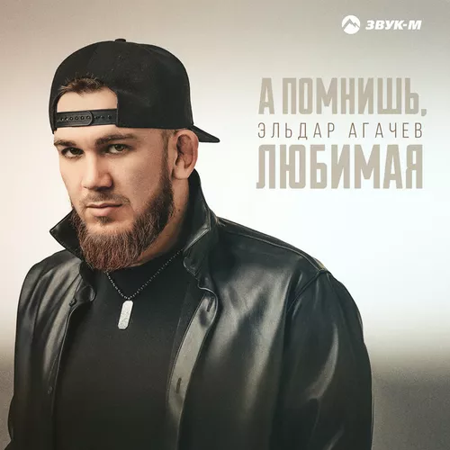Обложка к песне А Помнишь, Любимая от Эльдар Агачев