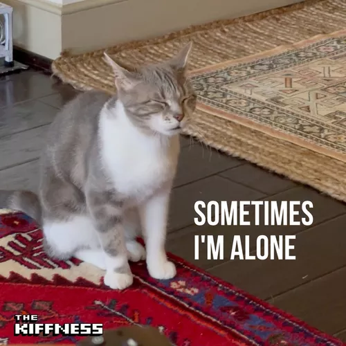 Обложка к песне Sometimes I'm Alone (Lonely Cat) от The Kiffness
