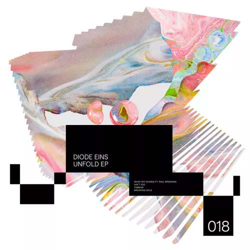 Обложка к песне What We Shared (Original Mix) от Diode Eins & Paul Brenning