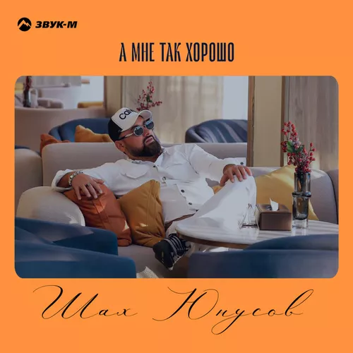 Обложка к песне А Мне Так Хорошо от Шах Юнусов