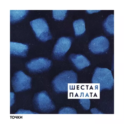 Обложка к песне Полосатый Кот от Шестая Палата