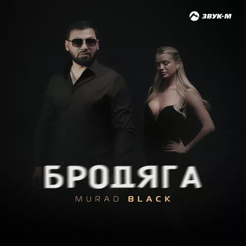 Обложка к песне Бродяга от Murad Black
