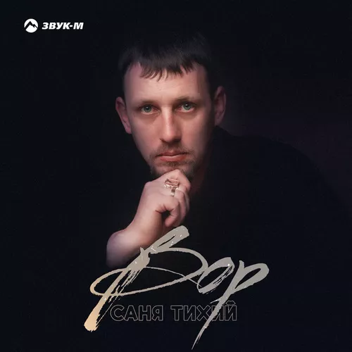 Обложка к песне Вор от Саня Тихий