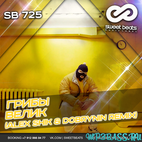Обложка к песне Велик (Alex Shik & Dobrynin Radio Edit) от Грибы