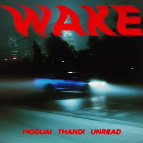 Обложка к песне Wake (feat. Thandi & Unread) от Moguai