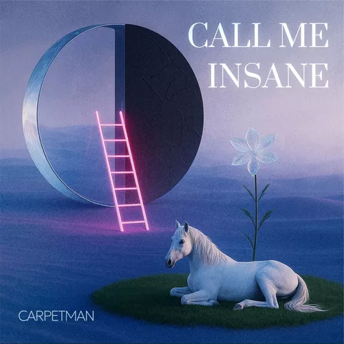 Обложка к песне Call Me Insane от Carpetman
