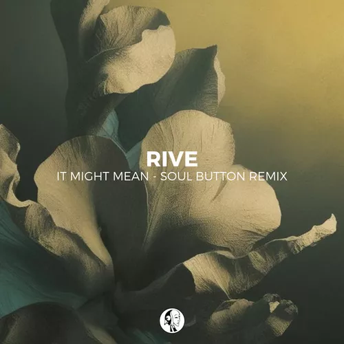 Обложка к песне It Might Mean (Soul Button Remix) от Rive