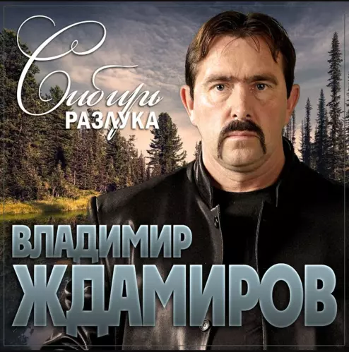 Обложка к песне Сибирь Разлука от Владимир Ждамиров