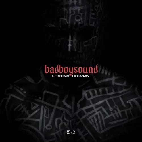 Обложка к песне Badboysound (feat. Sanjin) от Hedegaard