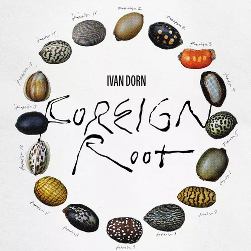 Обложка к песне Foreign Root от Иван Дорн