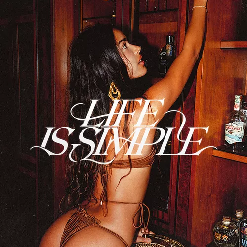 Обложка к песне Life Is Simple (feat. Marshall Jefferson & Salomé Das) от Maesic