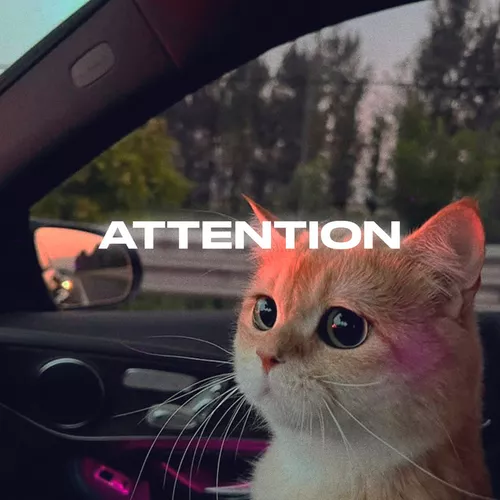 Обложка к песне Attention (feat. Isvnbitov) от Rendow