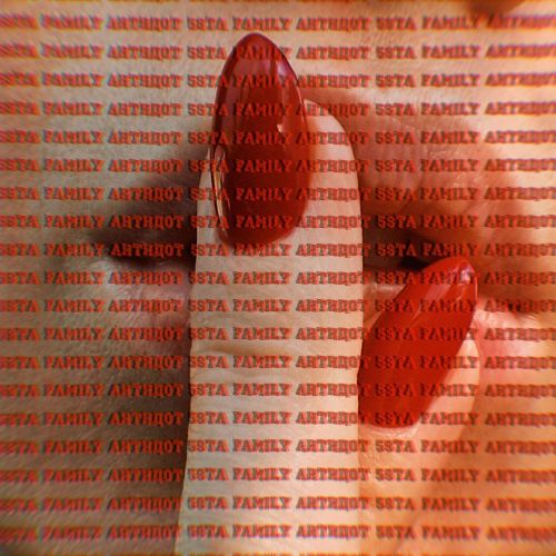 Обложка к песне Антидот (Aleks Prokhorov Remix) от 5sta Family