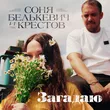 Обложка к песне Загадаю (feat. Крестов) от Соня Белькевич