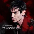 Обложка к песне Не Покину Тебя от Александр Шепс
