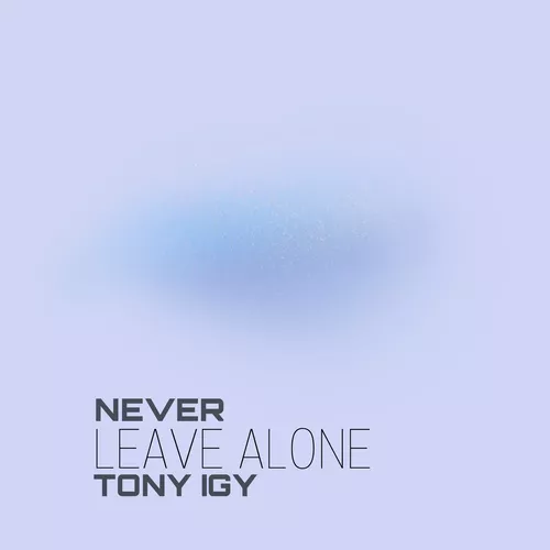 Обложка к песне Never Leave Alone от Tony Igy