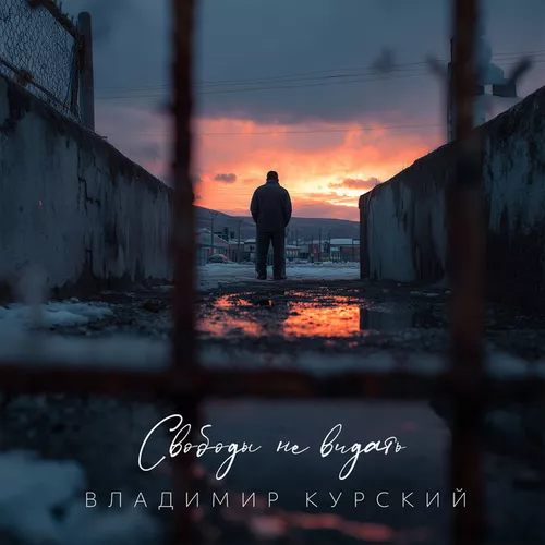 Обложка к песне Свободы Не Видать от Владимир Курский