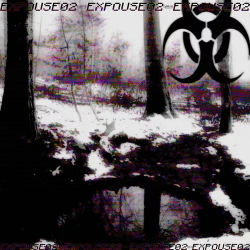 Обложка к песне Expouse02 (feat. Dmitry.rx) от Hardx
