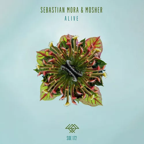 Обложка к песне Matters (Original Mix) от Sebastian Mora & Mosher