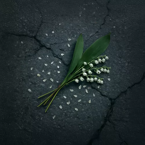 Обложка к песне Привет (feat. Sidorov) от Nansi