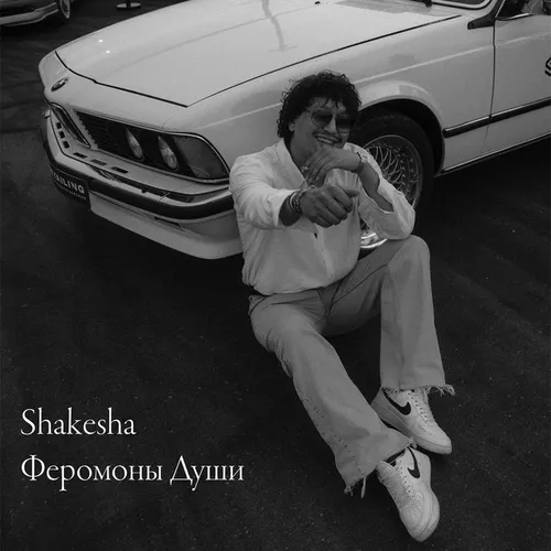Обложка к песне Феромоны Души от Shakesha