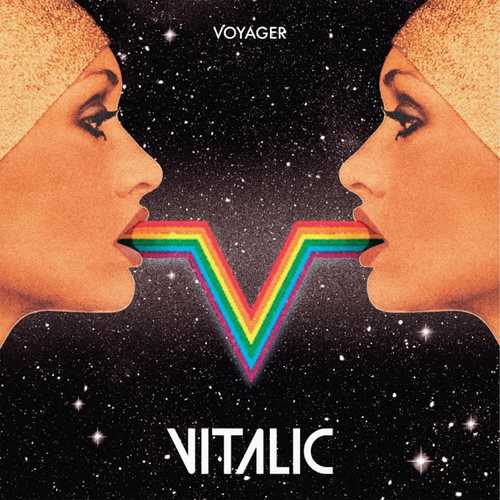 Обложка к песне Waiting For The Stars (feat. David Shaw) от Vitalic