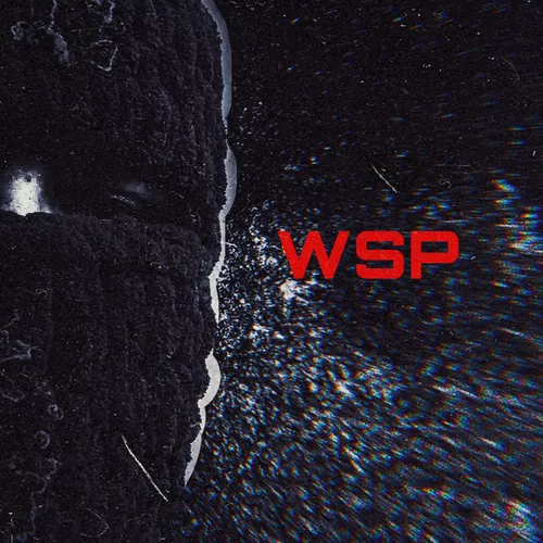 Обложка к песне Wsp от Otmr