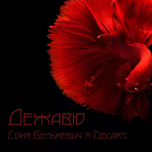 Обложка к песне Дежавю (feat. Decart) от Соня Белькевич