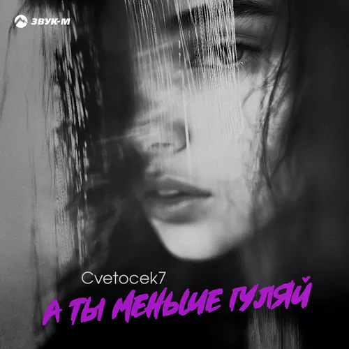 Обложка к песне А Ты Меньше Гуляй от Cvetocek7