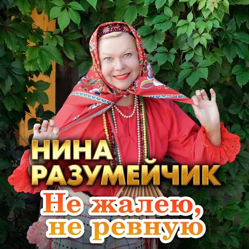 Обложка к песне Не Жалею, Не Ревную от Нина Разумейчик